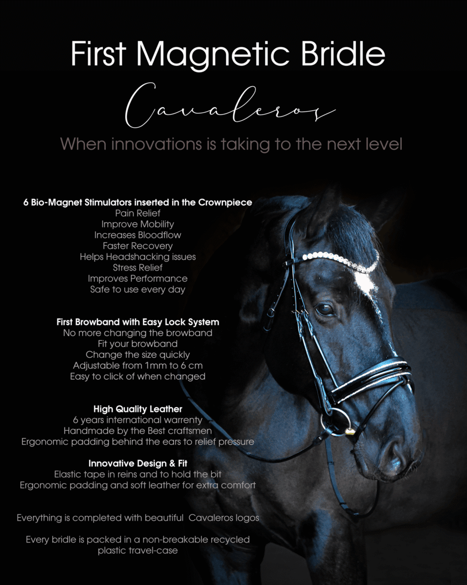 Magnetic Therapy Bridle™ Barcelona NO 17 - Billede 3